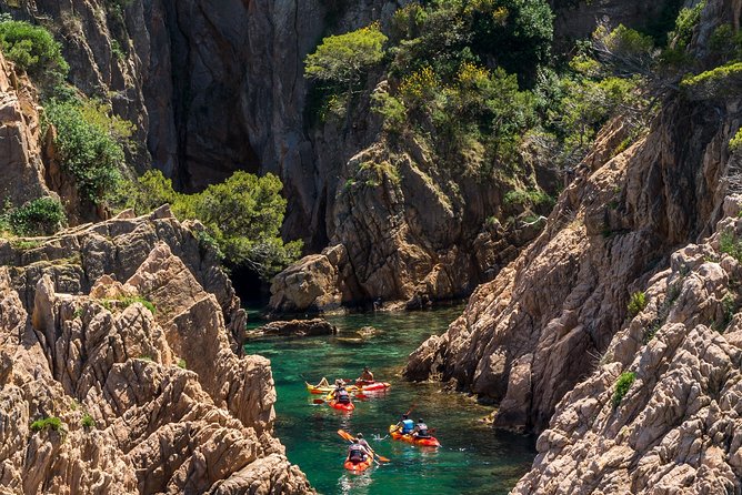 Costa Brava Kayaking and Snorkeling Small Group Tour with Lunch - Cliff jumping: optional thrills with real safety checks