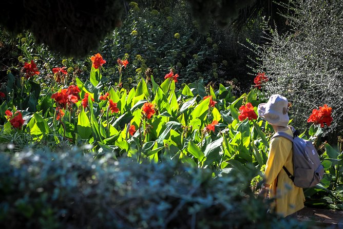 Costa Brava & Medieval Village Tour with Lunch - Marimurtra Botanical Gardens: cliffs and sea views first, plants second