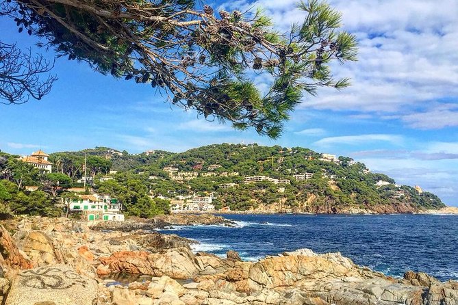 Costa Brava Private Experience by Car with local expertise - Baix Empordà: The Region That Links the Day
