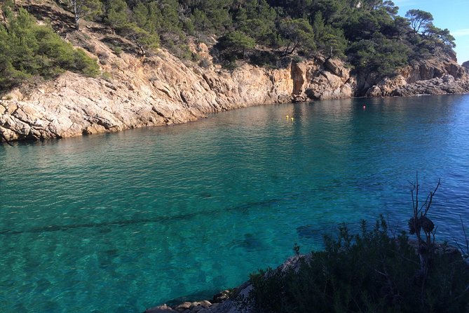 Costa Brava Scenic Hike & Tossa de Mar Small Group Tour - Tossa de Mar by foot: fishermen vibes and white-house streets