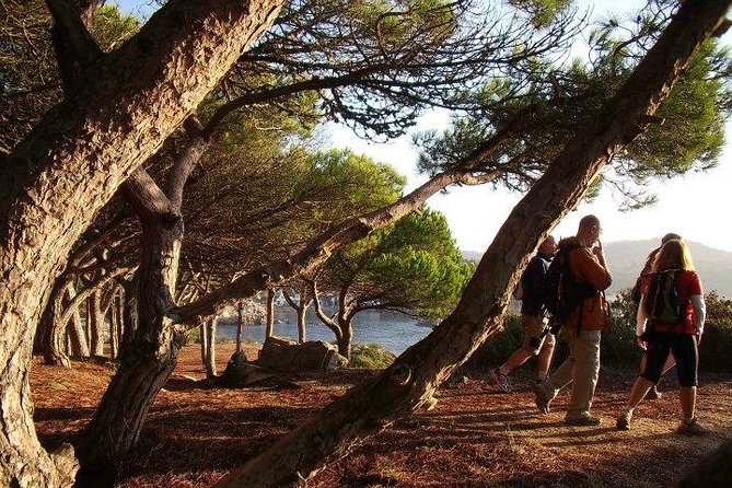Costa Brava Small Group Hiking Tour from Barcelona - What to Pack for Costa Brava: Small Choices That Matter