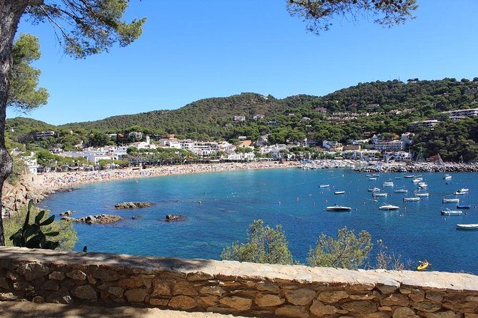 Costa Brava Typical Towns Full Day Tour from Barcelona - Getting there comfortably: the A/C coach with Wi-Fi