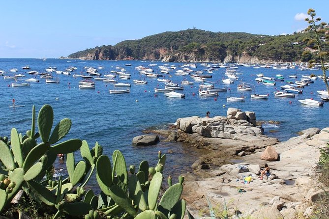 Costa Brava Typical Towns Full Day Tour from Barcelona - The coastal rhythm: when the day slows down to smell the salt