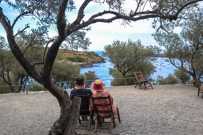 Dali Museum, House & Cadaques Small Group Tour from Barcelona - Price and Value: What You’re Really Paying For at $357.65