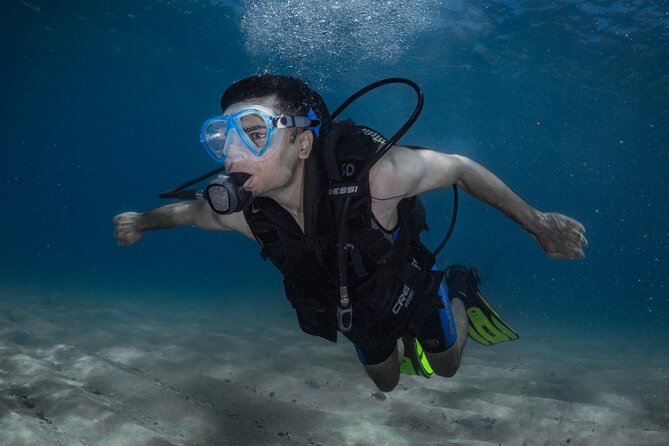 Discover PADI Diving in Barcelona - Key Highlights Worth Planning Around