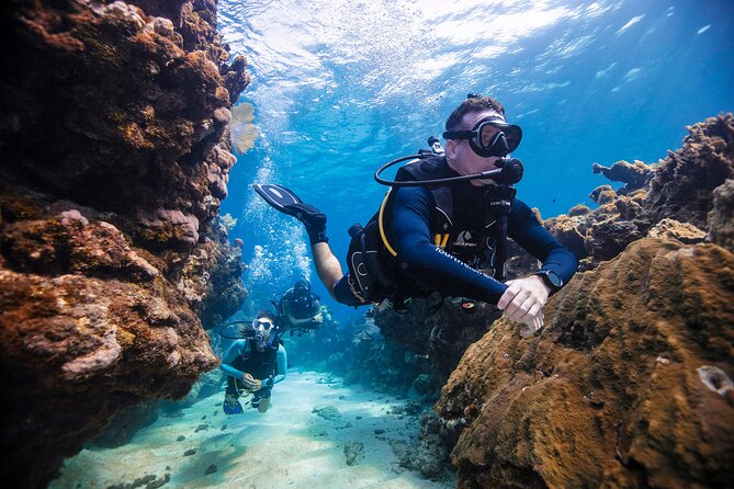 Discover Scuba Diving in Palamos - Equipment Is Included, So You Can Spend Energy on Learning