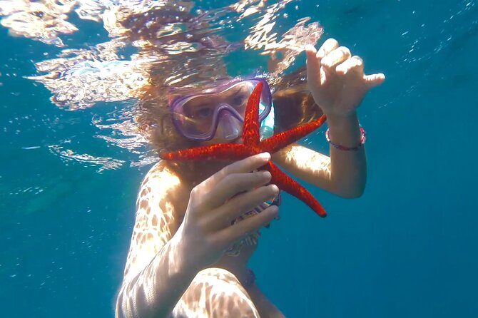 Discover secrets of the sea swimming cave and underwater vision - Duration, group size, and what it means for your day