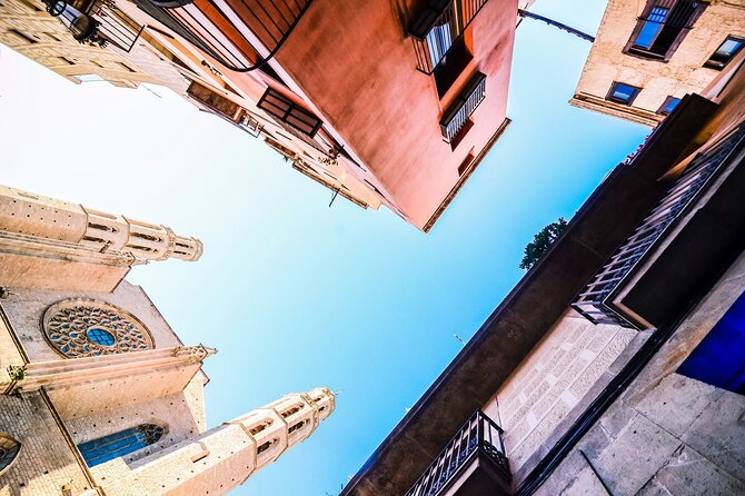 Discover the Gothic Quarter | Walking Tour | 2h - Key highlights worth showing up for