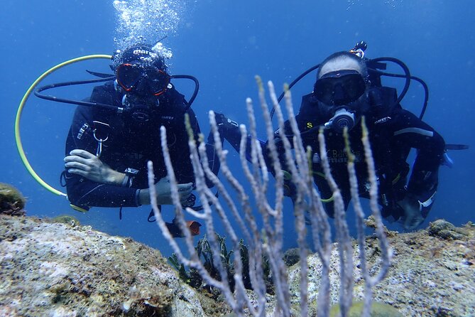Diving baptism in the Montgrí Natural Park - Your 20 minutes underwater: what you’ll actually feel and notice