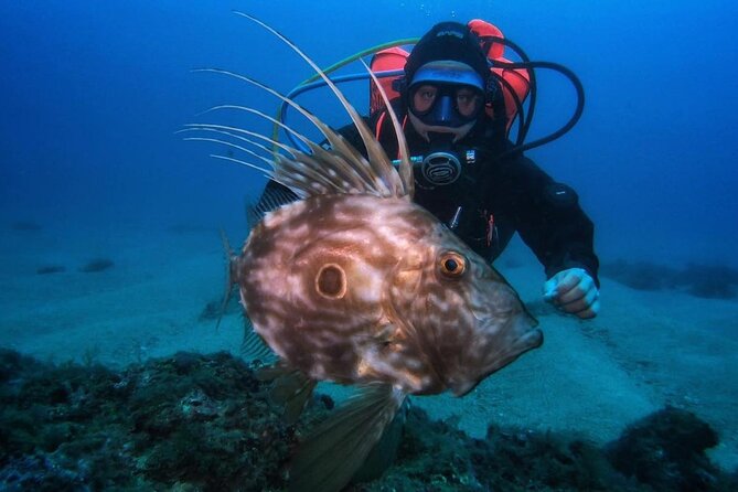 Diving Course with PADI Certification in Costa Brava - The Course Flow: Basics, Skills, and Supervised Time in the Water