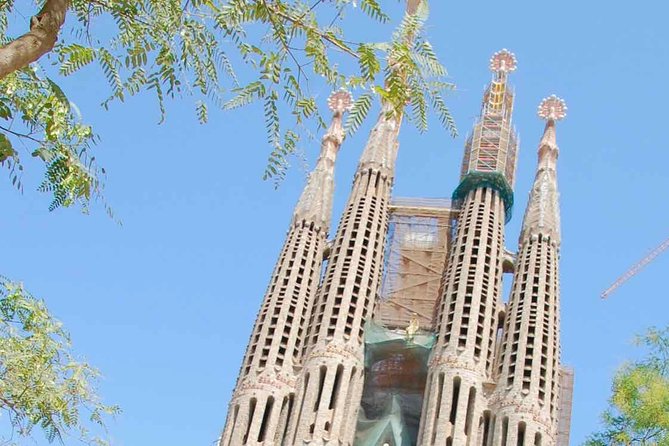 E-Bike tour in Barcelona with English Guide - Electra Townie Go + Bosch Assist: Comfort, Power, and the Rider Height Rule