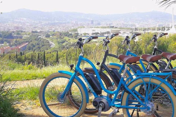 E-Bike tour in Barcelona with English Guide - Who This Tour Fits Best (and Who Should Consider Something Else)