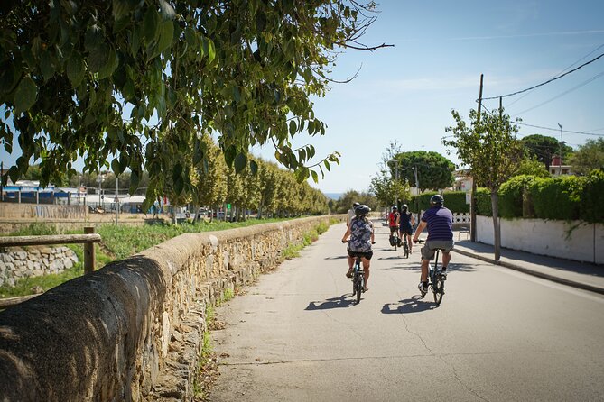 Ebike Tour, Winery, Wine Tasting & Sailing Experience(car option) - How hard is it, really? Fitness, hills, and the car option