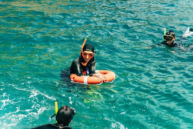 Eco-snorkeling in the Medes Islands - Price and what you actually get for $44.95