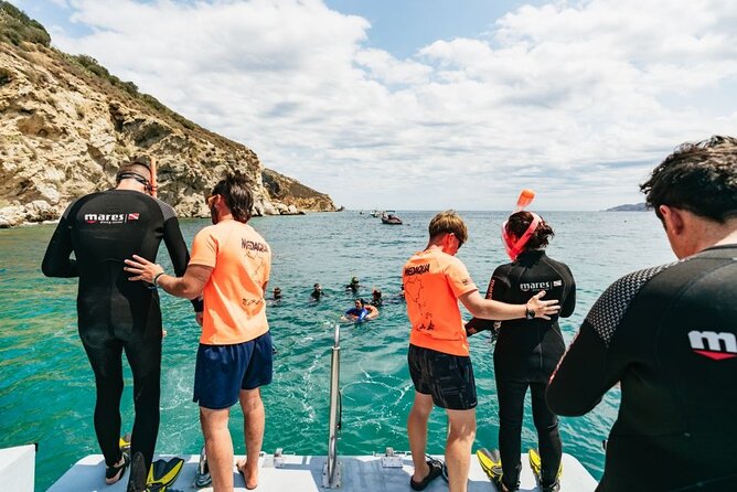 Eco-snorkeling in the Medes Islands - The 50-minute snorkeling swim: shallow, guided, and realistic