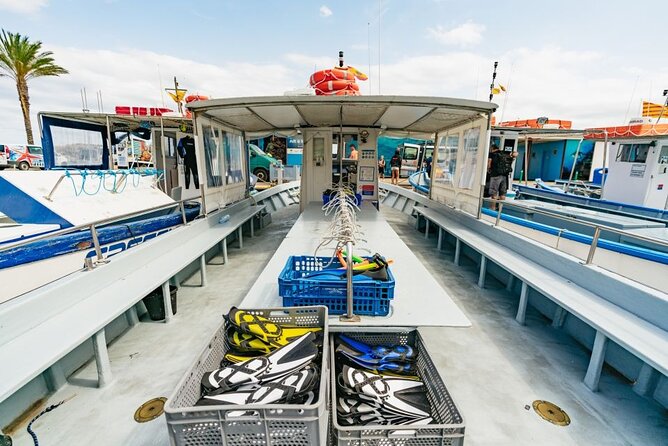 Eco-snorkeling in the Medes Islands - The boat ride through the islets: worth paying attention