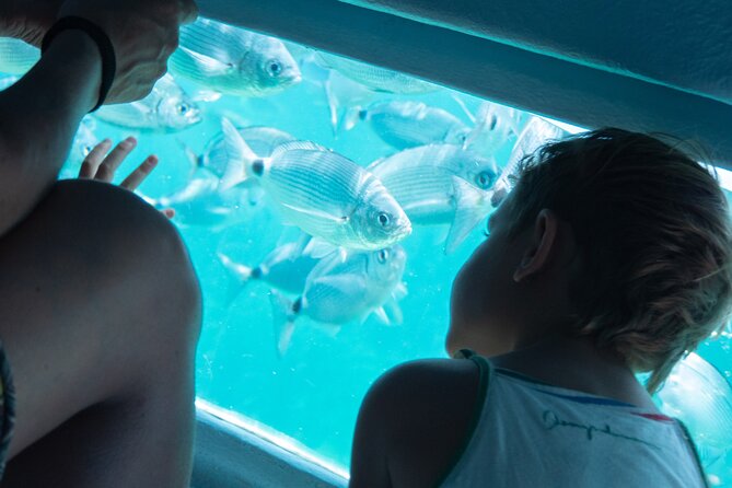 Estartit (1h 30m STOP) & Medes Islands - Super Underwater Vision - Who Should Book This Medes and Estartit Cruise?