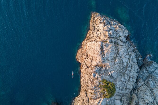 Experiencia Visión Submarina en el Cap de Creus más Natación - Boat comfort and pacing: the “well-run day” effect