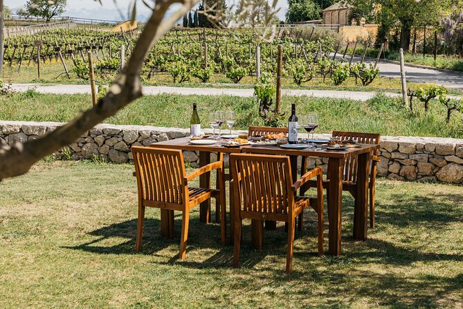 Familia Torres Winery: Gastronomic Tapas & Wine Experience - Stop at Familia Torres: Vineyards, Waltraud Winery, and the Sustainability Angle