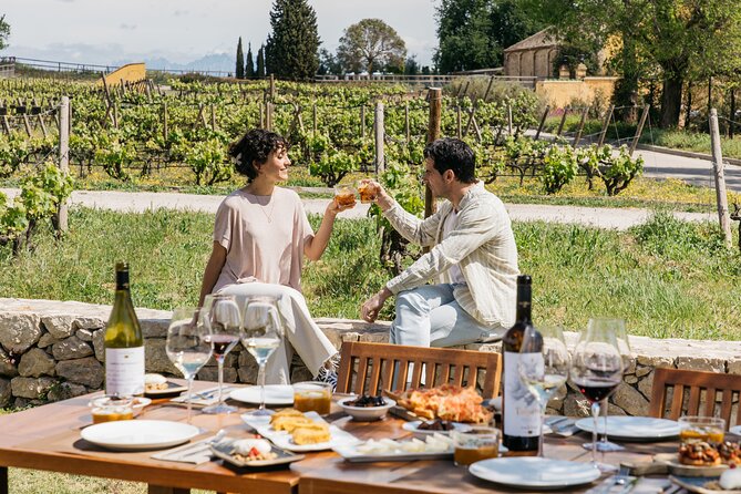 Familia Torres Winery: Gastronomic Tapas & Wine Experience - Four Wines, One Guided Tasting: From Vermouth to Red