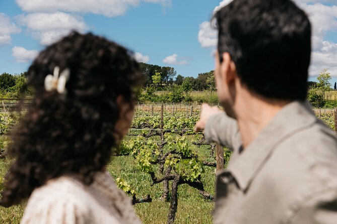 Familia Torres Winery: Gastronomic Tapas & Wine Experience - Logistics That Affect Your Comfort (More Than You Think)