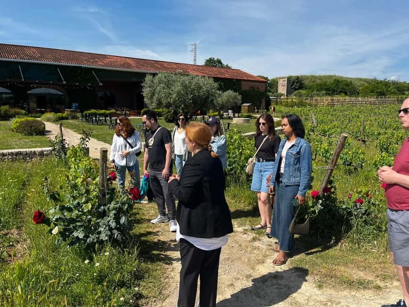 Familia Torres Winery: Gastronomic Tapas & Wine Experience - Break time and the shop: how to use the 45 minutes well