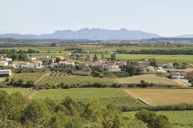 Food and Wine Small Group Tour from Barcelona - Maximum 8 people - Key highlights to circle on your calendar