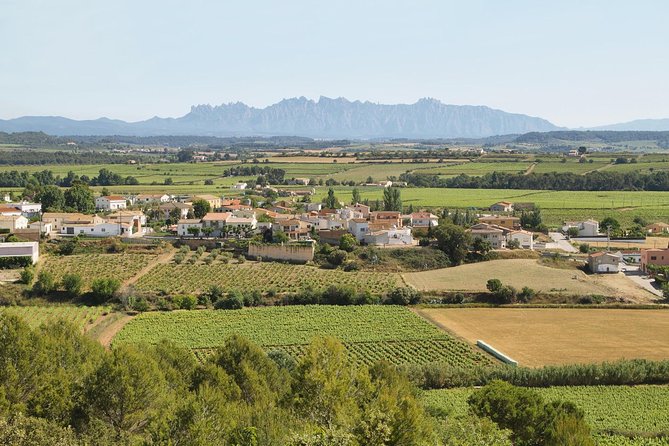 Food and Wine Small Group Tour from Barcelona - Maximum 8 people - Traditional Catalan lunch: what you’re eating, and why Sunday can taste different