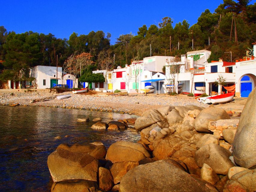 From Barcelona: Costa Brava and Girona Small-Group Tour - Costa Brava’s Cliffs and Coves: What You’ll Really See on the Walk