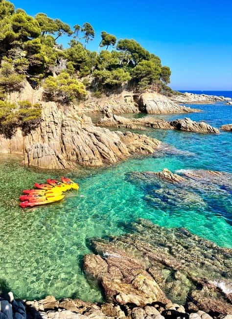 From Barcelona: Costa Brava Kayak & Snorkel Tour with Picnic - Snorkeling with schools of silver fish: gear fit, sea life, and visibility