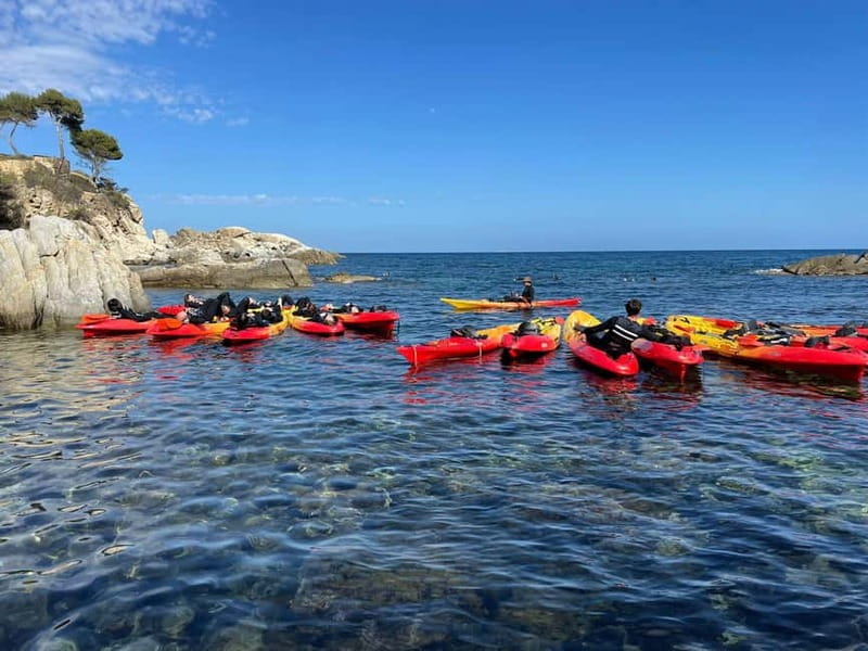 From Barcelona: Costa Brava Kayak & Snorkel Tour with Picnic - Back to Barcelona: the end drink and how to keep the day easy