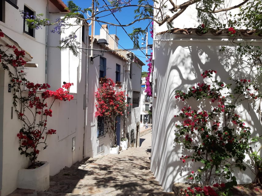 From Barcelona: Costa Brava Typical Towns full day tour - Llafranc Beach Time: Lunch on Your Schedule (and Optional Swim)