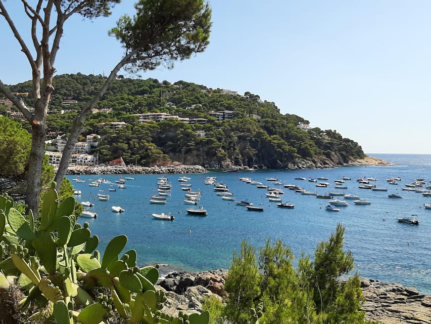 From Barcelona: Costa Brava Typical Towns full day tour - Transport, Timing, and What the Price Actually Buys
