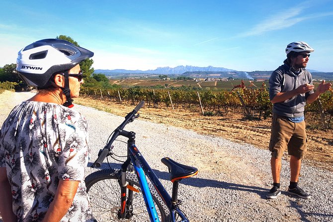 From Barcelona: E-Bike Tour in the vineyards with 2 Wineries - Key Highlights You’ll Feel Immediately