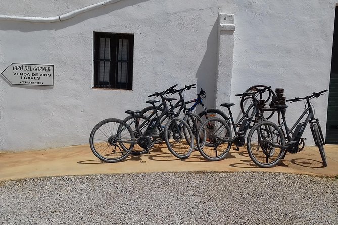 From Barcelona: E-Bike Tour in the vineyards with 2 Wineries - Vilafranca del Penedès: Your Quick Launch Point