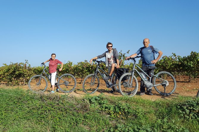 From Barcelona: E-Bike Tour in the vineyards with 2 Wineries - What Tomas Teaches You About Penedès Wine (Without Being Snooty)