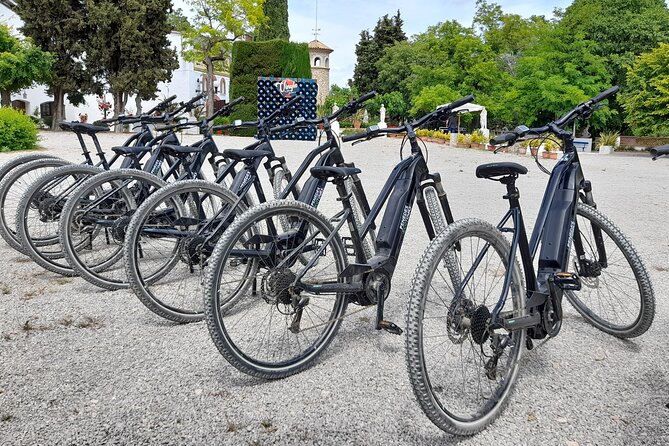 From Barcelona: E-Bike Tour in the vineyards with 2 Wineries - Small Group Size: The Secret Ingredient
