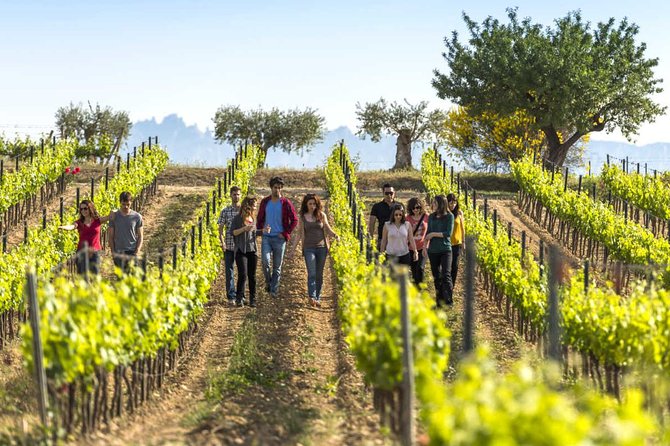 From Barcelona: El Penedès Hike & Wines - Key moments you’ll care about