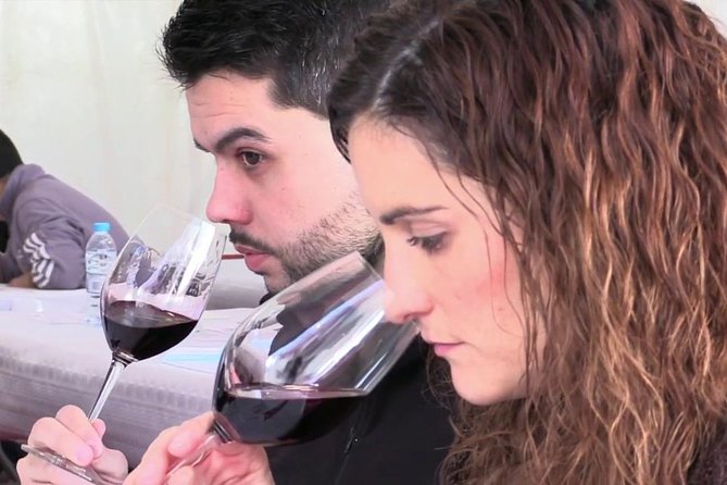 From Barcelona: El Penedès Hike & Wines - Getting your bearings on the walk through Penedès DO