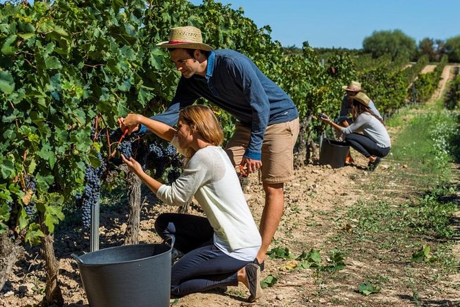 From Barcelona: El Penedès Hike & Wines - Guides make or break the day