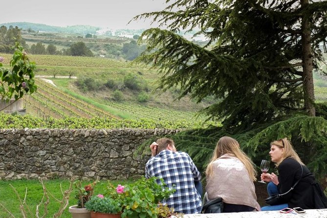 From Barcelona: El Penedès Hike & Wines - Transportation, time, and group size: the practical value