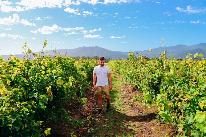 From Barcelona: El Penedès Hike & Wines - What to bring so you’re comfortable (and not thinking about comfort)