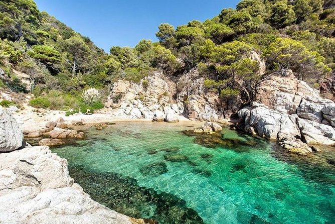 From Barcelona : Girona and Costa Brava Small Group Tour - Transportation and pacing: why the van matters on this kind of route