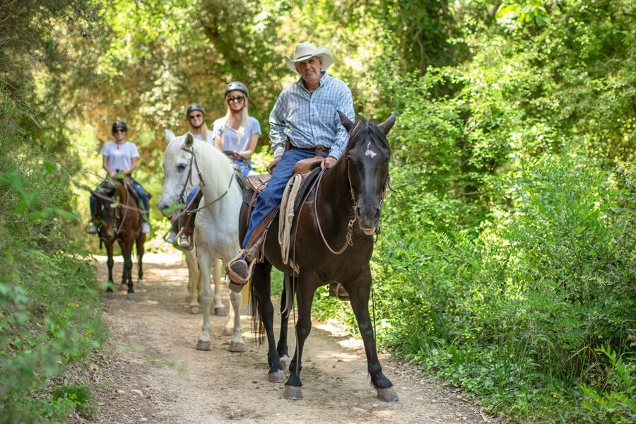 From Barcelona: Half-Day Montserrat & Horse Riding Tour - The guides can make or break your day—here’s what to look for