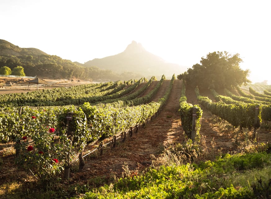 From Barcelona: Half-Day Trip to Montserrat Mountain - Who This Montserrat Trip Fits Best