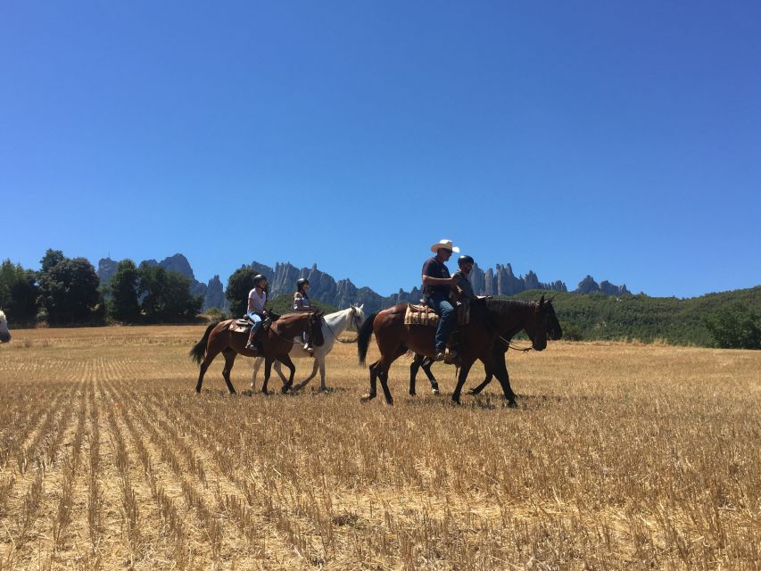 From Barcelona: Horseback Tour in Montserrat National Park - Leaving Barcelona for Montserrat by Van (and Why 8:00 Matters)