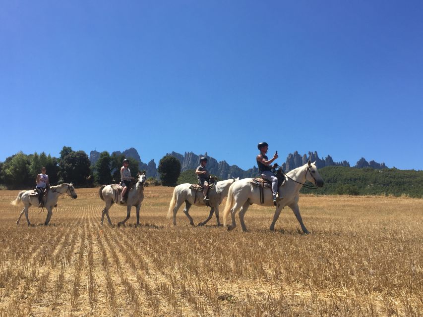 From Barcelona: Horseback Tour in Montserrat National Park - Montserrat Abbey: Romanesque, Gothic, Renaissance, and the Virgin Statue