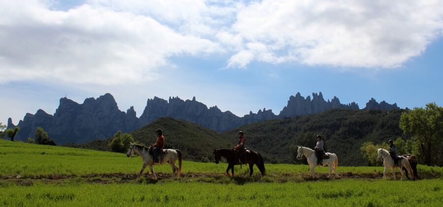 From Barcelona: Horseback Tour in Montserrat National Park - Price Value: What $116 Gets You (and What You Pay Extra for)