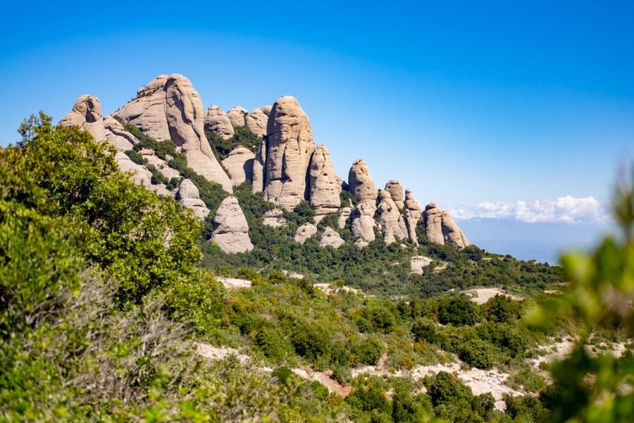 From Barcelona: Montserrat Monastery, Easy Hike, Cable Car - Inside Montserrat Monastery and Cloister: More Than a Church Visit