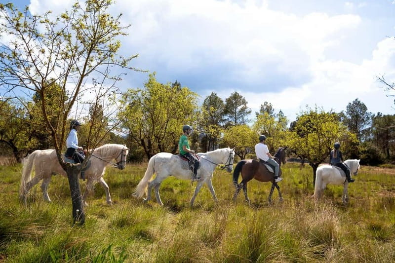 From Barcelona: Montserrat Walking and Horseback Riding Tour - Abbey of Montserrat: Cloisters, Church Time, and the Black Madonna